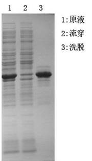 5d3f935875ad6.jpg A2.jpg