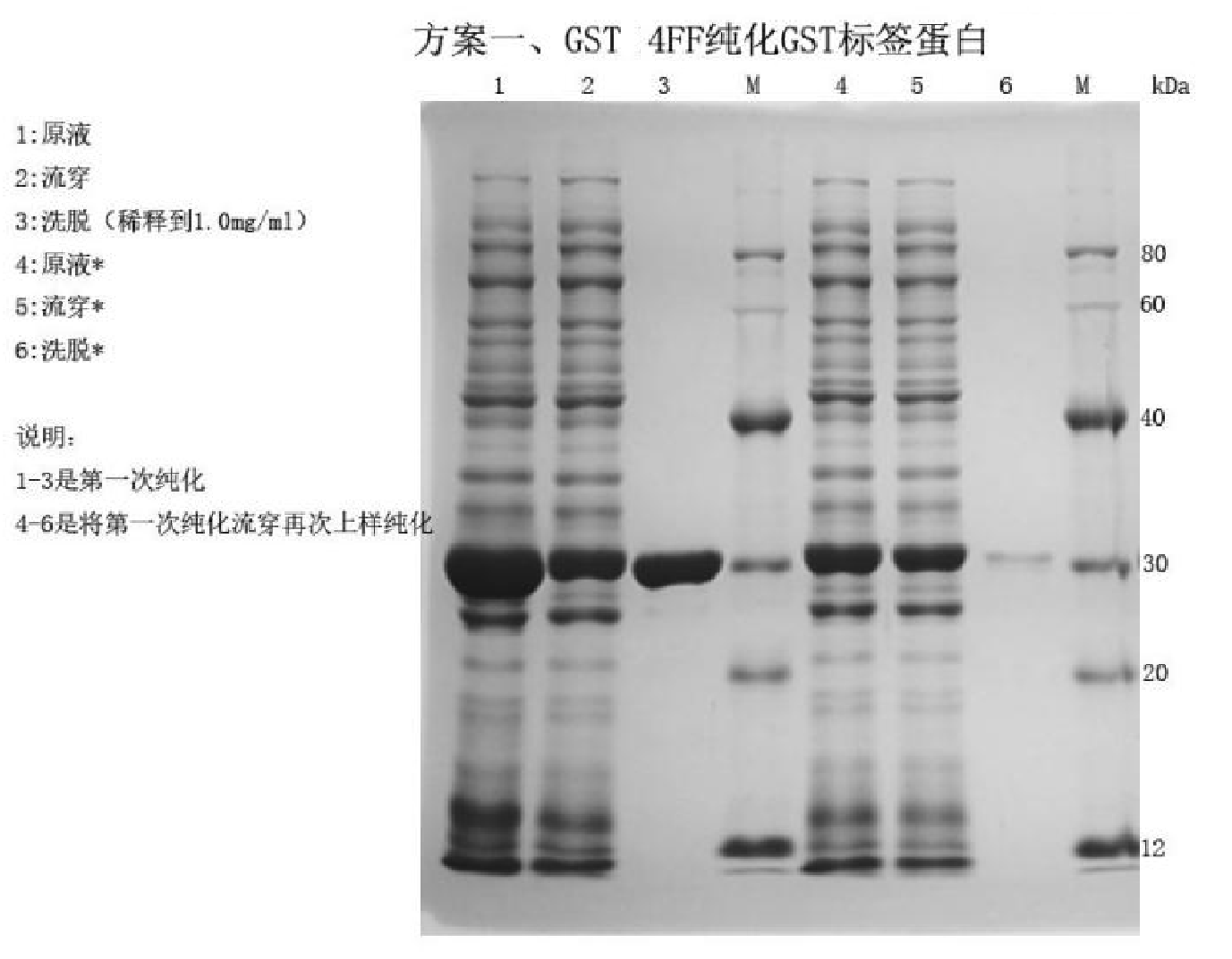 5d3fe3677e6fc.png A2.png