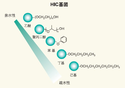 5d4100da26651.png A3.png