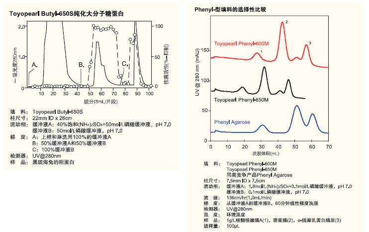 5d4100ee57255.png A4.png