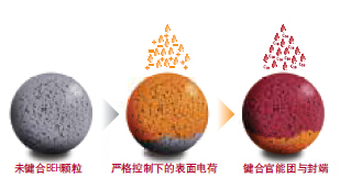 5d5504c24184a.png 1.png